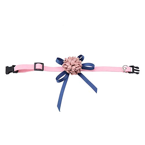 Haustier Bowknot Blumenhalskragen Verstellbares Gurt Hundekatze Bogenkragen für kleine Haustiere (M) von Febuliy
