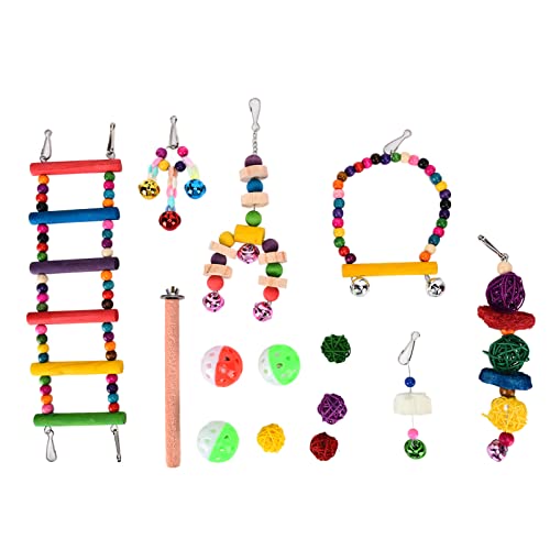 Febuliy Vogel-Papageien-Spielzeug, sicheres, natürliches Schaukel-Kauspielzeug für Wellensittiche, Finken, Nymphensittiche, Sittiche Febuliy Vogel-Papageien-Spielzeug, sicheres, natürliches Schaukel-Kauspielzeug für Wellensittiche, Finken, Nymphensittiche, Sittiche von Febuliy
