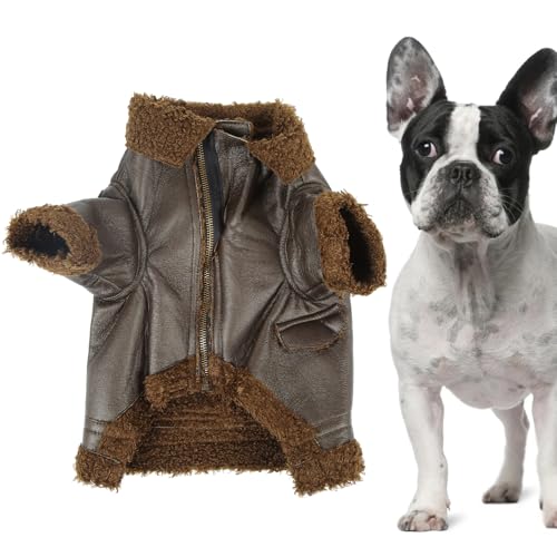 Hunde-Lederjacke, Warmer Wintermantel für Hunde und Katzen, wasserdicht, Winddicht, Reißverschluss-Design (L) von Febuliy