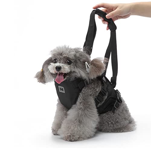 Katzenwestengeschirre, Leine, verstellbar, atmungsaktiv, stilvoll, multifunktionale Haustier-Leine für Haustiere, Hunde (L) von Febuliy
