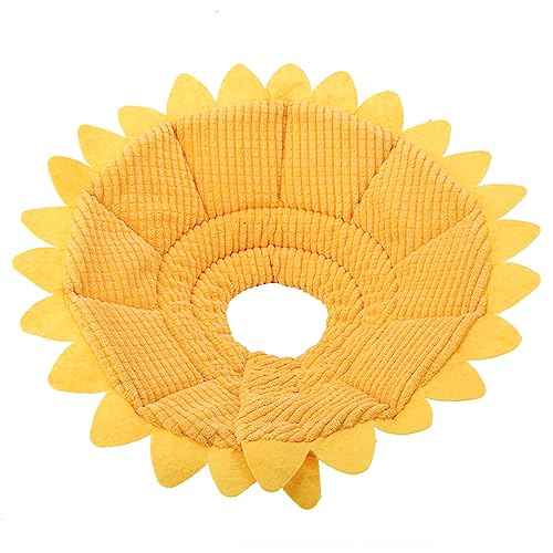 Febuliy Pet Recovery Collar für Katzenhunde Medizinische Wundheilung Sicherheit Schutz Goldener gelber entzückender Look (Februitfmxq73x-01) von Febuliy
