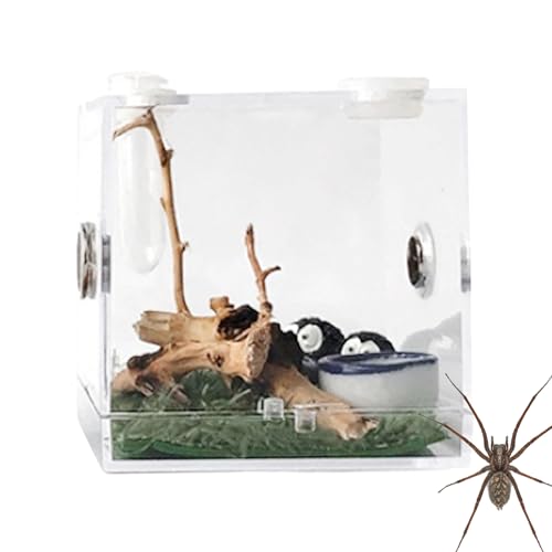 Fecfucy 1 Stück Zuchtbox | Transparente Futterboxen für Insekten | Insekten-Futterkasten Klettern Haustier-Terrarium-Tank Klare Mini-Krabbeltier-Beobachtungsbox für Spinnen, Eidechsen, Skorpione, von Fecfucy