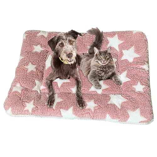 Fecfucy Beruhigende Decke für Katzen, warm, maschinenwaschbar, Katzenkissen für Nervosität und Stress, kleine Haustierdecke für Indoor-Katzen und Hunde, Hundekissen von Fecfucy