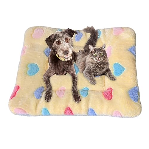 Fecfucy Beruhigende Decke für Katzen, weich und warm, maschinenwaschbar, Katzenkissen für Nervosität und Stress, kleine Haustierdecke für Indoor-Katzen und Hunde, Hundekissen von Fecfucy