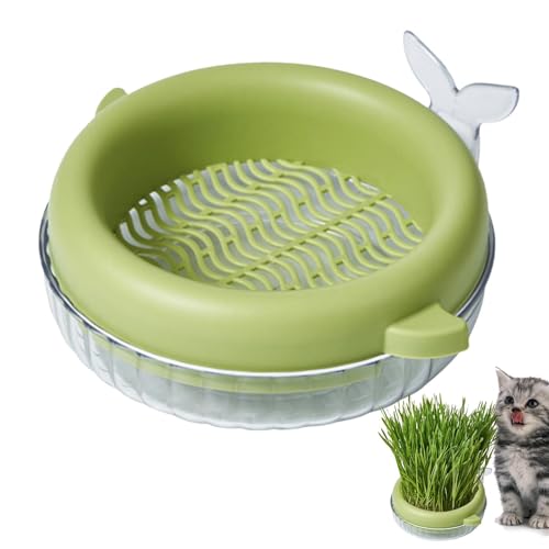 Fecfucy Cat Grass Pot Hydroponic Cat Grass Growing Kit Soilless Culture Planting Container for Cat Grass, Interactive Toys for Cat Dogs von Fecfucy