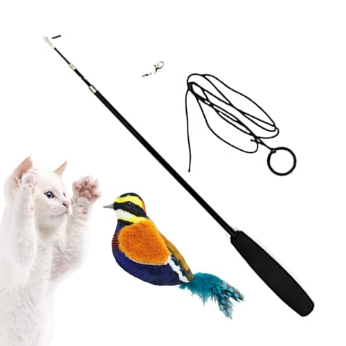 Fecfucy Katzen-Teasing-Stab – Vogel-Design, Federspielzeug, wiederverwendbarer Katzen-Teaser-Zauberstab, Indoor-Katzenfeder-Spielzeug für Kätzchen und Welpen von Fecfucy