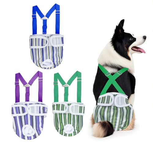 Waschbare Hundewindeln für Hündinnen mit Strumpfhalter, wiederverwendbar, super saugfähig und auslaufsicher, feste Hundewindeln für Hunde im Wärmezyklus, Größe S, 3 Stück von Feefeeguang