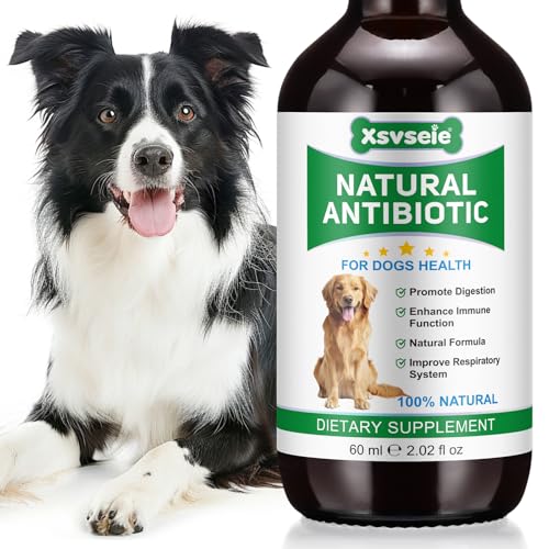 Antibiotika für Hunde, Hunde Antibiotika, Natürliche Antibiotika für Hunde, Unterstützt Juckreiz Hautentlastung, Allergie & Juckreiz Relief, Zwingerhusten, Immunsystem Gesundheit, Harnwegsinfekt, 60ML von Feeliville