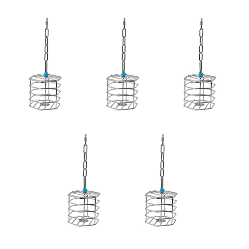Fegtrty 5X Haustier Papagei Hörnchen Fett Edelstahl Lebensmittel Hängen Käfig Futter Suche Spielzeug Ara Kakadu Jagd Feeder Unterhaltung Spielzeug von Fegtrty