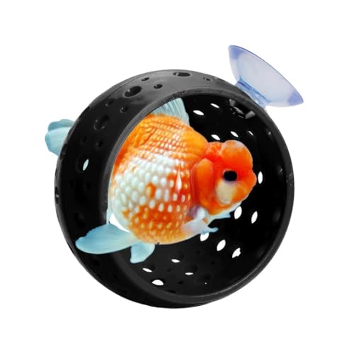 Fegtrtyoa Aquarium Kampffisch Versteck mit Saugnapf Garnelenhöhle Zubehör für Fischbehälter von Fegtrtyoa