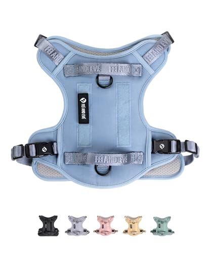 Fei & Eve Hundegeschirr aus weichem Netzstoff, Taktische Weste, schnell zu verbinden, MOLLE mit 3 Leinenclips, Militärqualität, 900D-Nylon, verstellbar mit Griff, Größe S, Blau Fei & Eve Hundegeschirr aus weichem Netzstoff, Taktische Weste, schnell zu verbinden, MOLLE mit 3 Leinenclips, Militärqualität, 900D-Nylon, verstellbar mit Griff, Größe S, Blau von Fei and Eve