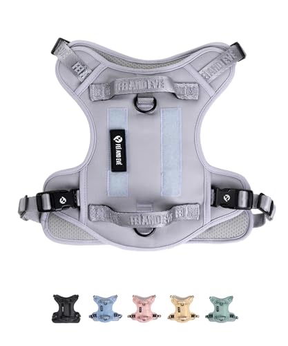 Fei & Eve Hundegeschirr aus weichem Netzstoff, Taktische Weste, schnell zu verbinden, MOLLE mit 3 Leinenclips, Militärqualität, 900D-Nylon, verstellbar mit Griff, Größe S, Violett Fei & Eve Hundegeschirr aus weichem Netzstoff, Taktische Weste, schnell zu verbinden, MOLLE mit 3 Leinenclips, Militärqualität, 900D-Nylon, verstellbar mit Griff, Größe S, Violett von Fei and Eve