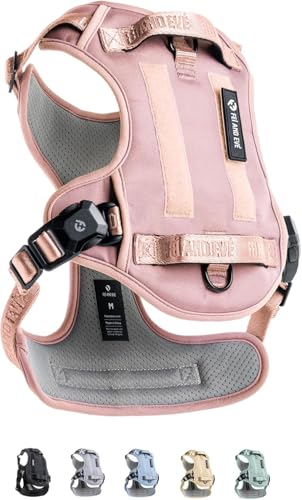 Fei & Eve MagEase Hundegeschirr, 3-Sekunden-Magnetschnallen, 3-Punkt-No-Pull-Kontrolle, strapazierfähiges 900D-Nylon, doppelte Sicherheitsgriffe, atmungsaktives Netzgewebe, verstellbare Passform Fei & Eve MagEase Hundegeschirr, 3-Sekunden-Magnetschnallen, 3-Punkt-No-Pull-Kontrolle, strapazierfähiges 900D-Nylon, doppelte Sicherheitsgriffe, atmungsaktives Netzgewebe, verstellbare Passform von Fei and Eve