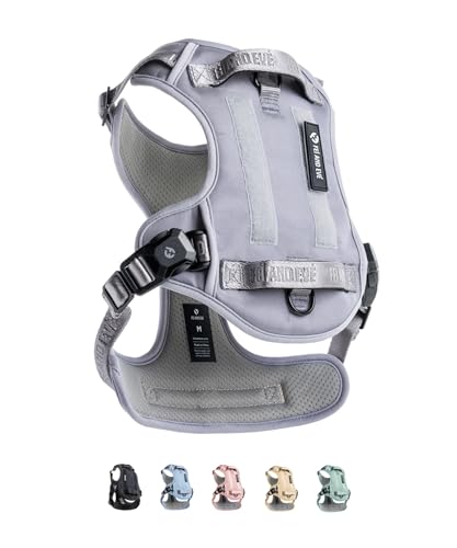 Fei & Eve sofortiges magnetisches Hundegeschirr, kein Ziehen, Taktische Weste mit MOLLE, 3 Leinenclips, strapazierfähiges 900D-Nylon, luftig weiches 380 g Netzgewebe, verstellbar mit Griff, Größe M Fei & Eve sofortiges magnetisches Hundegeschirr, kein Ziehen, Taktische Weste mit MOLLE, 3 Leinenclips, strapazierfähiges 900D-Nylon, luftig weiches 380 g Netzgewebe, verstellbar mit Griff, Größe M von Fei and Eve