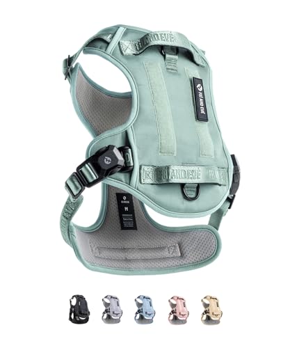 Fei & Eve sofortiges magnetisches Hundegeschirr, kein Ziehen, Taktische Weste mit MOLLE, 3 Leinenclips, strapazierfähiges 900D-Nylon, luftig weiches 380 g Netzgewebe, verstellbar mit Griff, Größe M Fei & Eve sofortiges magnetisches Hundegeschirr, kein Ziehen, Taktische Weste mit MOLLE, 3 Leinenclips, strapazierfähiges 900D-Nylon, luftig weiches 380 g Netzgewebe, verstellbar mit Griff, Größe M von Fei and Eve