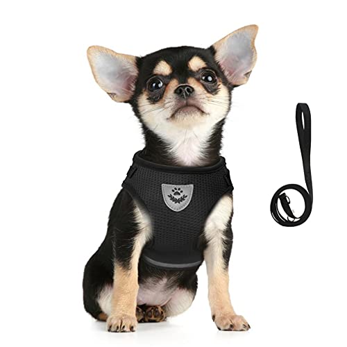 FEimaX Hundegeschirr für Hunde, Weich Mesh Gepolstert Welpengeschirr und Leinen Set Reflektierende Verstellbare Atmungsaktive Brustgeschirr für Gehen, Laufen, Training FEimaX Hundegeschirr für Hunde, Weich Mesh Gepolstert Welpengeschirr und Leinen Set Reflektierende Verstellbare Atmungsaktive Brustgeschirr für Gehen, Laufen, Training von FEimaX