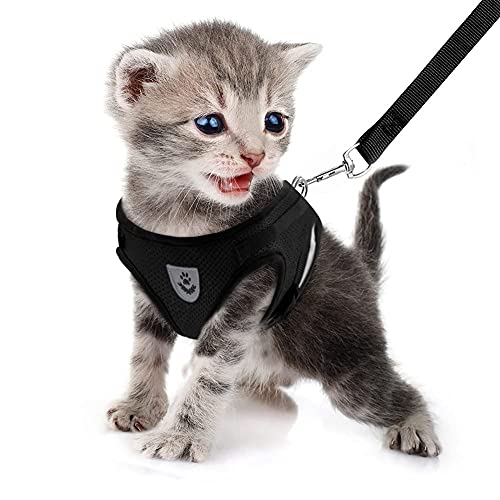 FEimaX Katzengeschirr mit Leine für Hunde Katzen Weich Mesh No Pull Hundegeschirr Reflektierende Verstellbare Atmungsaktive Welpen Brustgeschirr für Gehen Training FEimaX Katzengeschirr mit Leine für Hunde Katzen Weich Mesh No Pull Hundegeschirr Reflektierende Verstellbare Atmungsaktive Welpen Brustgeschirr für Gehen Training von FEimaX