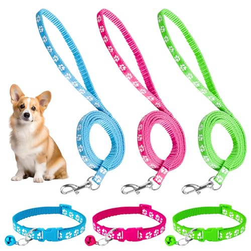 Hundehalsband kleine Hunde,3 Stück Welpenhalsbänder mit Leine,Hundehalsband und Leine welpen zubehör Schnallenhalsband Verstellbares Weich Nylon Haustier Hundehalsband kleine Hunde,3 Stück Welpenhalsbänder mit Leine,Hundehalsband und Leine welpen zubehör Schnallenhalsband Verstellbares Weich Nylon Haustier von Feirdhoo