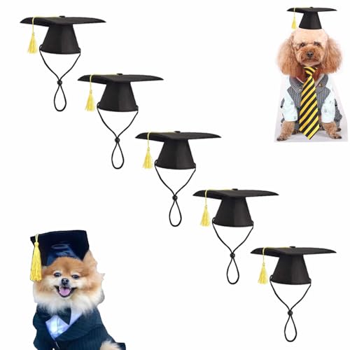 Bachelor Hunde Abschlusskappe - Abschluss Hut Abschlussmütze mit Quaste als Fotorequisite, Feiertagskostümzubehör für Abschlussfeiern Partyzubehör (1, Bachelor Hundehut, One Size) von Feizikaw