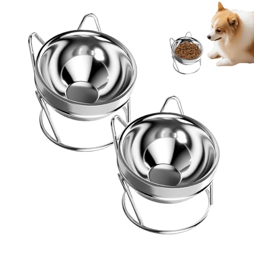 Erhöhter Rutschfester Katzenfutter & Wassernapf, Edelstahl-Trinkschale für Katzen & kleine Hunde, geneigt zum komfortablen Trinken (2PCS) von Feizikaw