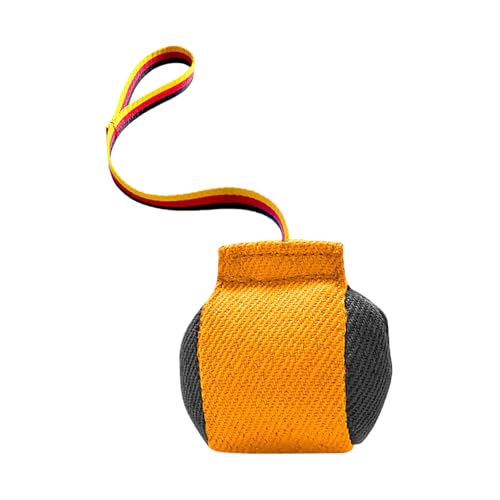 Feizikaw Kauspielzeug Hund Unzerstörbar Hunde-Zerrspielzeug, interaktives Hundekissen für das Training Kleiner und mittelgroßer Hunde (Orange, 13x13cm) von Feizikaw
