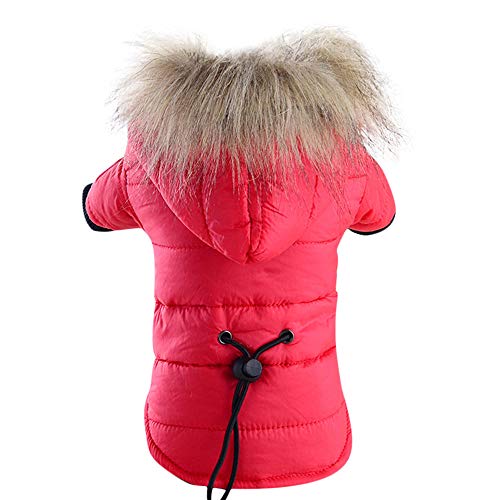 Feizikaw Hundekleidung Casual Warme, baumwollgefütterte Daunenjacke für Hunde, Kostüm, Welpen, Winterkleidung, Hoodie-Mäntel (Red, S) von Feizikaw