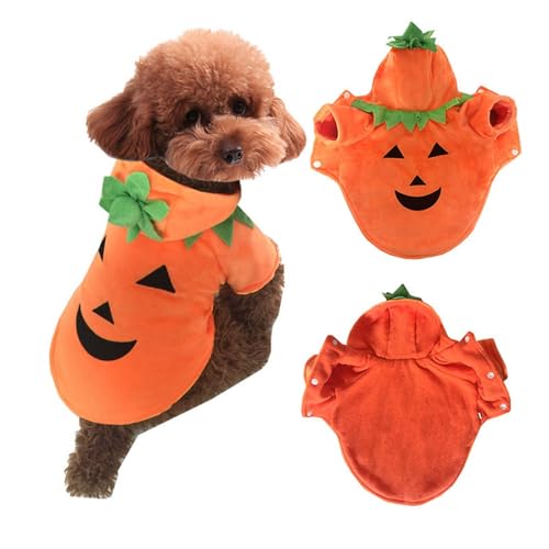 Feizikaw Hundekleidung Kleine Hunde Halloween-Kürbiskostüm für Haustiere, lustiges Kostüm, Kürbis-Transformationskostüm, Kostüm für kleine Hunde (Orange, XL) von Feizikaw