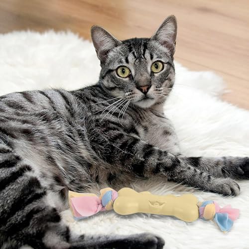 Hundespielzeug Welpen Robustes Kauspielzeug für Hunde, das aggressiv kaut. Interaktives Zahnreinigungsspielzeug für Haustiere. Beißspielzeug für Welpen. Langlebiges Hundeknochenspielzeug (C, One Size) von Feizikaw