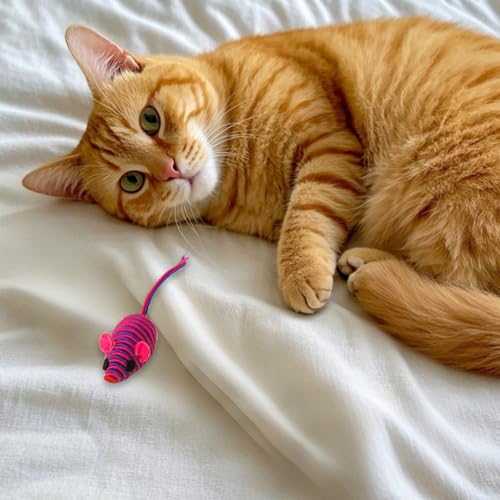 Kauspielzeug Katze Simulationsspielzeug-Set für Katzen, Federkau- Kratzspielzeug (C, 15cm) von Feizikaw