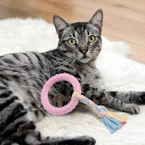 Kauspielzeug Welpen Robustes Kauspielzeug für Hunde, das aggressiv kaut. Interaktives Zahnreinigungsspielzeug für Haustiere. Beißspielzeug für Welpen. Langlebiges Hundeknochenspielzeug (B, One Size) von Feizikaw