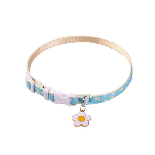 Kragen Hund Haustierhalsbänder für Hunde und Katzen Design Strapazierfähiges Polyestermaterial Perfekt für Outdoor-Abenteuer Stilvolle Accessoires für Ihre (A, 13-22cm) von Feizikaw