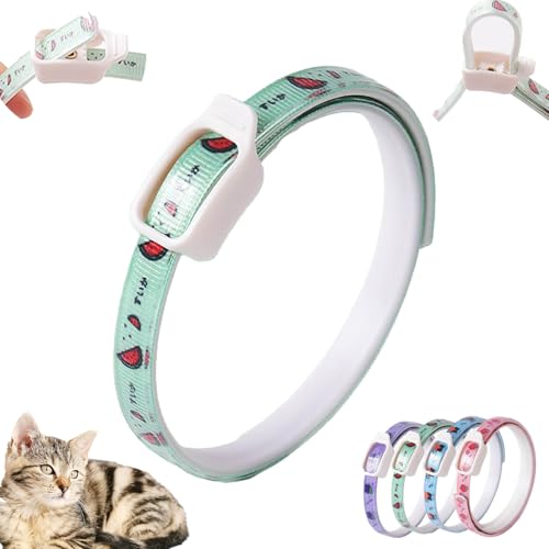 Langzeit Floh- & Zeckenschutz Halsband für Hunde - Natürliches Insektenabwehrhalsband | Schützt effektiv gegen Flöhe, Zecken, Milben & Parasiten (Grün, 6x6x1cm) von Feizikaw