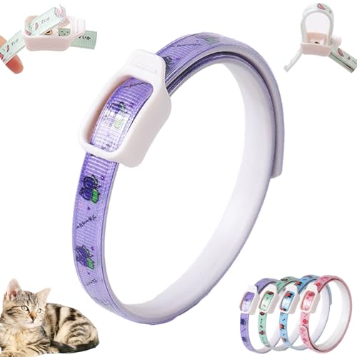 Langzeit Floh- & Zeckenschutz Halsband für Hunde - Natürliches Insektenabwehrhalsband | Schützt effektiv gegen Flöhe, Zecken, Milben & Parasiten (Lila, 6x6x1cm) von Feizikaw