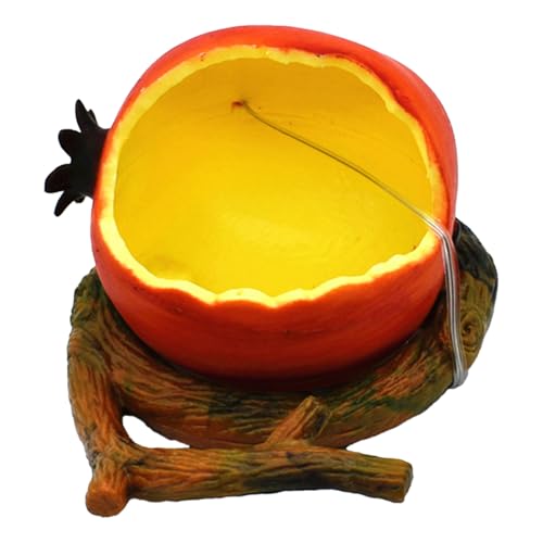 Maoutdoor Hanging Bird Feeder Papageienschale, Vogelfutterschale, Obstschale, stabiler Käfigfutterständer mit flachem Boden, geeignet für den Einsatz im Käfig von Haustiervögeln (Orange, 11x6.5x6.5cm) Maoutdoor Hanging Bird Feeder Papageienschale, Vogelfutterschale, Obstschale, stabiler Käfigfutterständer mit flachem Boden, geeignet für den Einsatz im Käfig von Haustiervögeln (Orange, 11x6.5x6.5cm) von Feizikaw