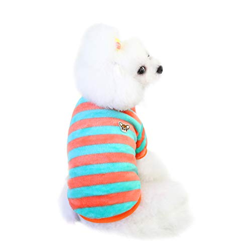 Feizikaw Tierjacke einfach Warme - Winter-Hundekleidung aus Regenbogen-Fleece für Haustiere (Green, S) von Feizikaw