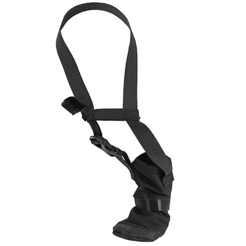 Vêtements Pour Animaux de Compagnie Schützender Vorderstiefel für Hunde, verstellbare Hundeschuhe, Wasserhundeschuhe, Hundeschutzbodysuit zur Pflege, verstellbare Haustierkleidung für den (Black, XL) Vêtements Pour Animaux de Compagnie Schützender Vorderstiefel für Hunde, verstellbare Hundeschuhe, Wasserhundeschuhe, Hundeschutzbodysuit zur Pflege, verstellbare Haustierkleidung für den (Black, XL) von Feizikaw