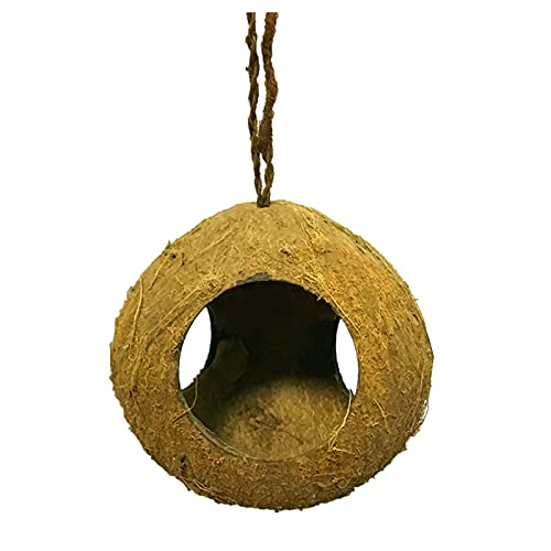 Vogelfutterhaus Parrot House Bird Bird Pet HouseNatural Parrot Natural House Hummingbird Patio & Garden (Brown, One Size) von Feizikaw