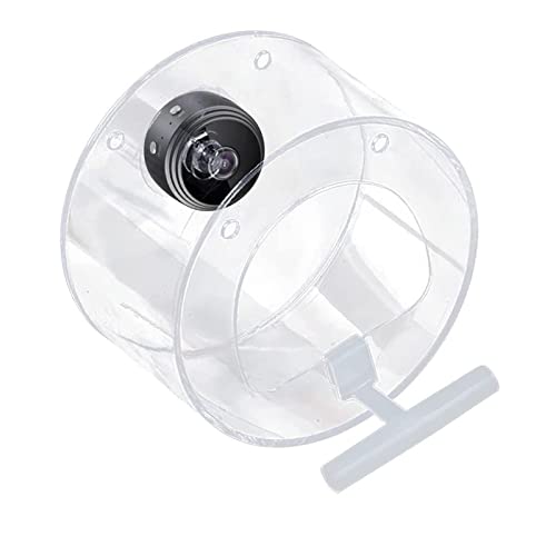 Vogelfutterhaus Zum AufhäNgen mit Kamera 1080P Nachtversion Kamera WiFi-Fernverbindung zum Mobiltelefon für die im Freien, Fotos, Vogelliebhaber (Clear, One Size) von Feizikaw