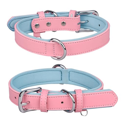 Welpen Halsbänder Set Space Haustierhalsband -Verlust-Hundehalsband Bequemes Hundehalsband (A, M) von Feizikaw