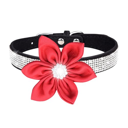Welpen Halsband Haustierhalsband, glänzendes Strass-Hundehalsband, kleine mittelgroße Hundeleine, Mikrofaser-Katzenhalsband (K, A) von Feizikaw