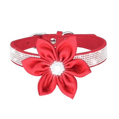 Welpen Halsband Haustierhalsband, glänzendes Strass-Hundehalsband, kleine mittelgroße Hundeleine, Mikrofaser-Katzenhalsband (L, D) von Feizikaw