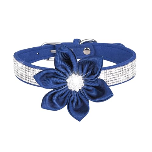 Welpen Halsband Haustierhalsband, glänzendes Strass-Hundehalsband, kleine mittelgroße Hundeleine, Mikrofaser-Katzenhalsband (P, B) von Feizikaw