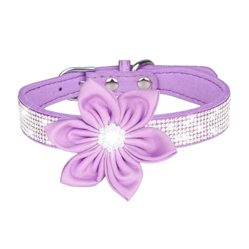Welpen Halsband Haustierhalsband, glänzendes Strass-Hundehalsband, kleine mittelgroße Hundeleine, Mikrofaser-Katzenhalsband (Q, G) von Feizikaw
