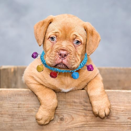 WelpenhalsbäNder für Züchter Weiches Haustierhalsband aus Acryl für kleine Katzen und Hunde, bequem, leicht, verstellbar, für den Innen- und Außenbereich (C, One Size) von Feizikaw