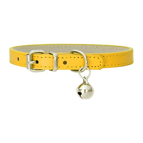 Welpenhalsbänder Mit Leine Set Hundehalsband Pu-, weich gepolstert, atmungsaktiv, verstellbar, wasserdicht, mit strapazierfähiger Metallschnalle, geeignet für kleine, mittelgroße große Hunde (Gold, S) Welpenhalsbänder Mit Leine Set Hundehalsband Pu-, weich gepolstert, atmungsaktiv, verstellbar, wasserdicht, mit strapazierfähiger Metallschnalle, geeignet für kleine, mittelgroße große Hunde (Gold, S) von Feizikaw
