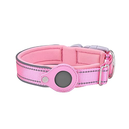 Welpenhalsband Mit Leine Set Airtag Tracking Cover für Hundepositionierungs-Trainingshalsband Nylon-Haustierhalsband (C, XL) von Feizikaw
