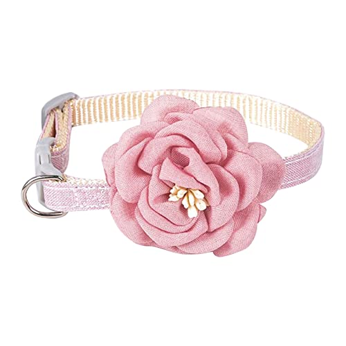 Welpenhalsband Mit Leine Set Katzenhalsbänder, Charme, Gentleman-Katzenhalsbänder, Kamelienhalsbänder, Heimtierbedarf für Katzen (One Size) von Feizikaw