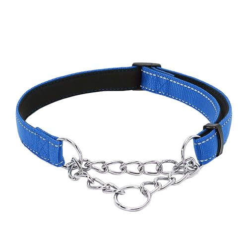 Welpenhalsband Mit Leine Set Pet Supplies Nylon Reflektierende Trainingshund Begleitende Weiche Hundehalskette P-Kette (BU1, M) von Feizikaw