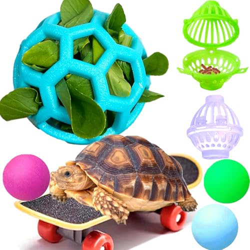 Fejapa Schildkröten-Leckerli-Ball und Trainingsskateboard-Spielzeug-Set, Schildkröten-Futterball, lustiges Wasserschildkröten-Anreicherungsspielzeug, Aquarium, Schildkrötenfutterspielzeug, Fejapa Schildkröten-Leckerli-Ball und Trainingsskateboard-Spielzeug-Set, Schildkröten-Futterball, lustiges Wasserschildkröten-Anreicherungsspielzeug, Aquarium, Schildkrötenfutterspielzeug, von Fejapa