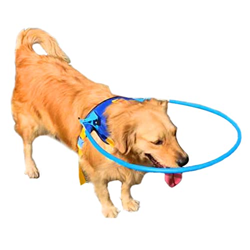 Dibiao Blinde Pet Guide Circle Pet Anti-Kollisionsring Blind Hundegeschirr Halo um die Umgebung für kleine, mittelgroße und große Hunde zu navigieren Schutz Bauen Vertrauen XS von Felenny